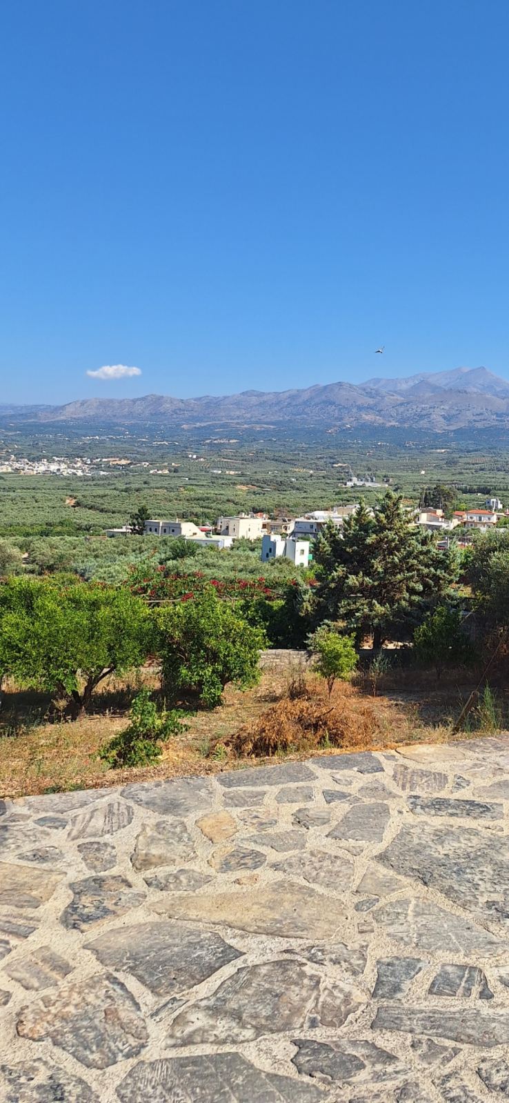 εικόνα_Viber_2024-07-27_14-43-30-030
