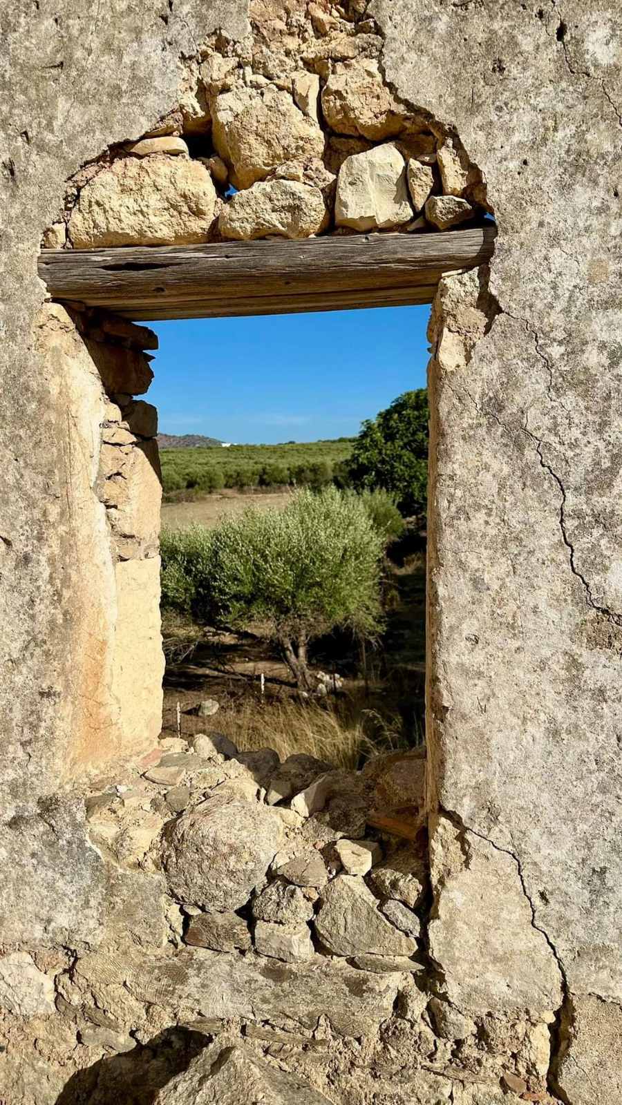 εικόνα_Viber_2024-07-27_15-16-15-776